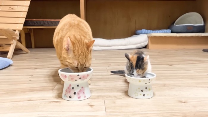 ごはんを食べるふたり