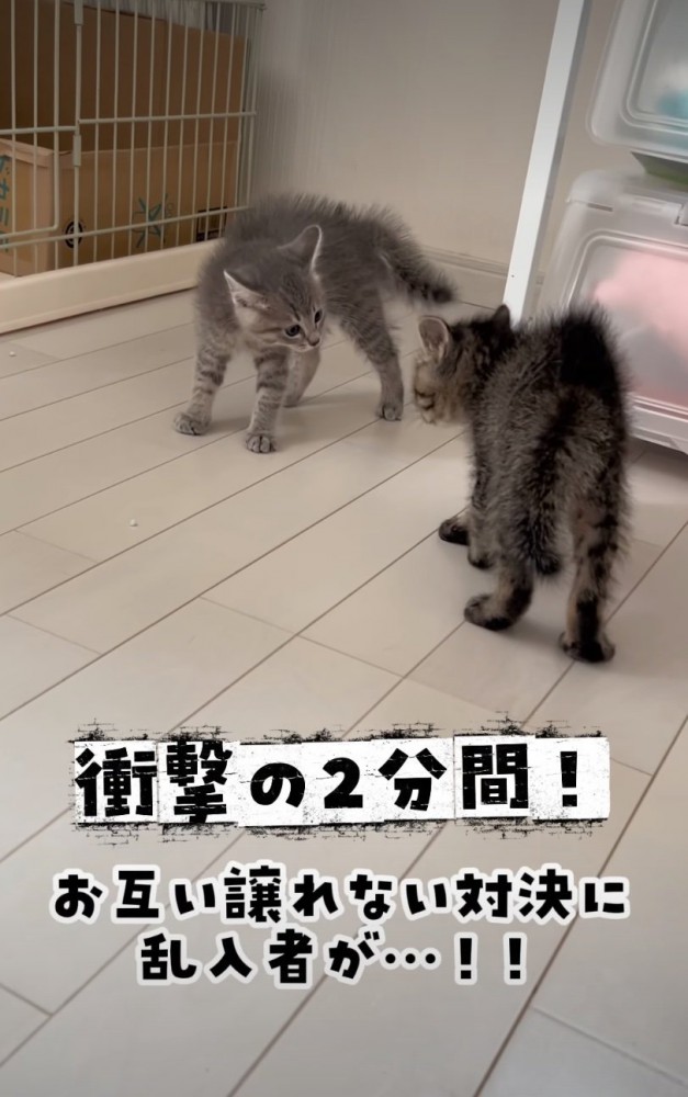 喧嘩勃発