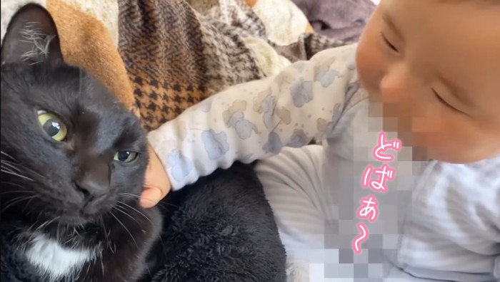 どばぁ〜