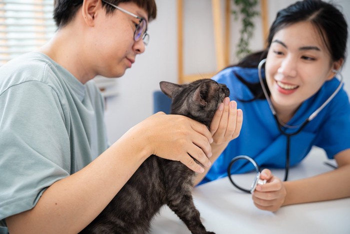 受診する猫と飼い主