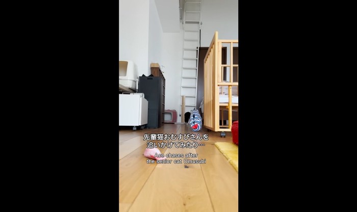 後ろ姿