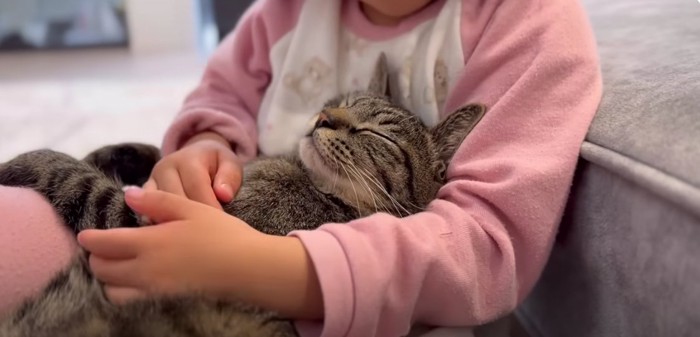 娘さんに抱かれているキジトラ猫