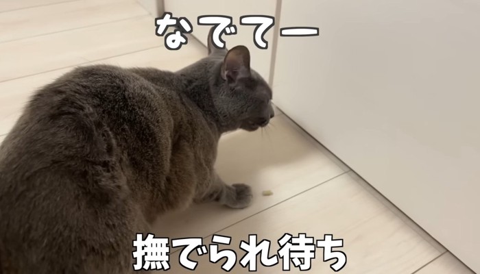 なでてー