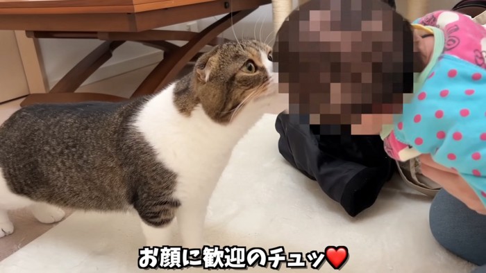 赤ちゃんに顔を近づける猫