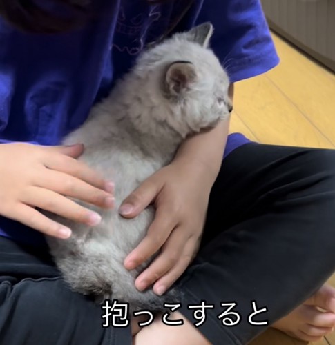 「抱っこすると」のテロップ写真