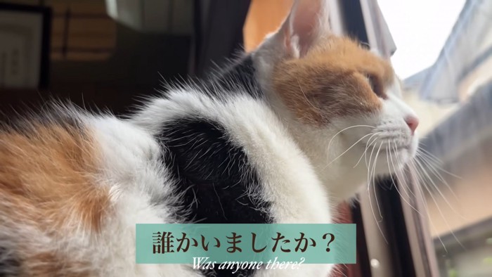 テロップ「誰かいました?」