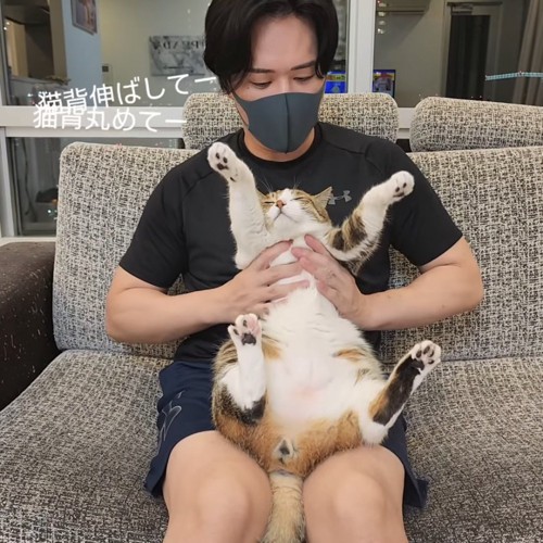 バンザイする猫