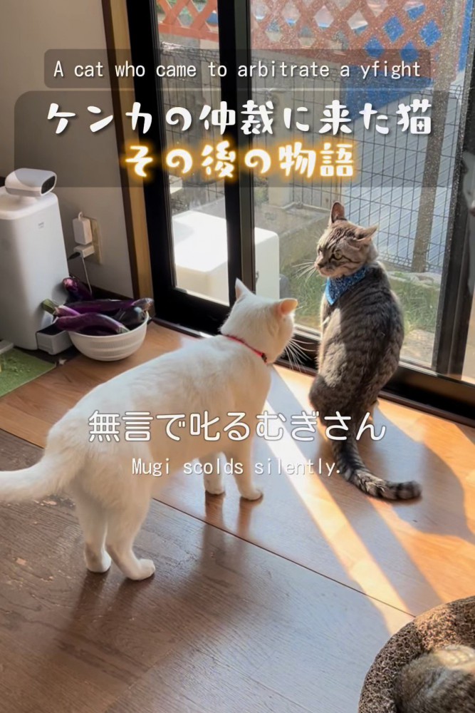 青いバンダナをつけた猫の前に立つ白猫