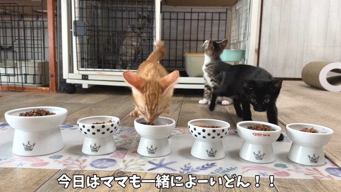 よーいどん!!