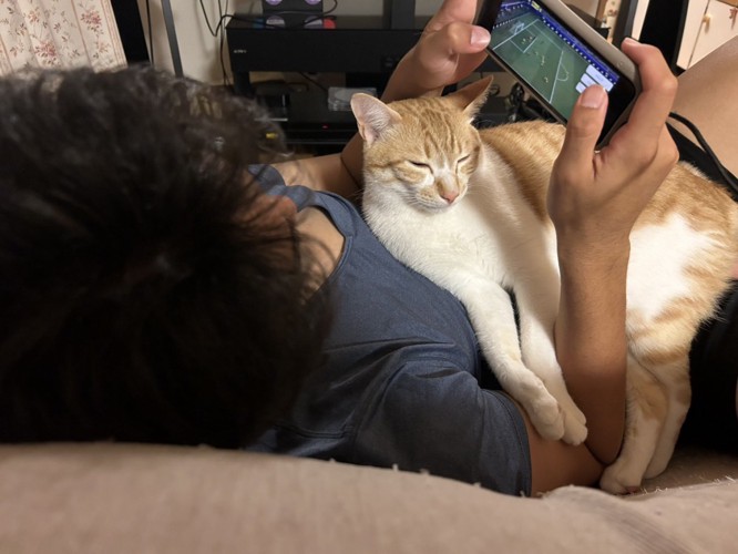 飼い主の体と腕の間に入る猫