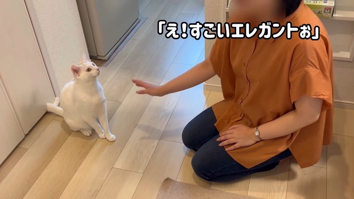 すごいエレガントぉ
