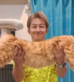抱えられている猫