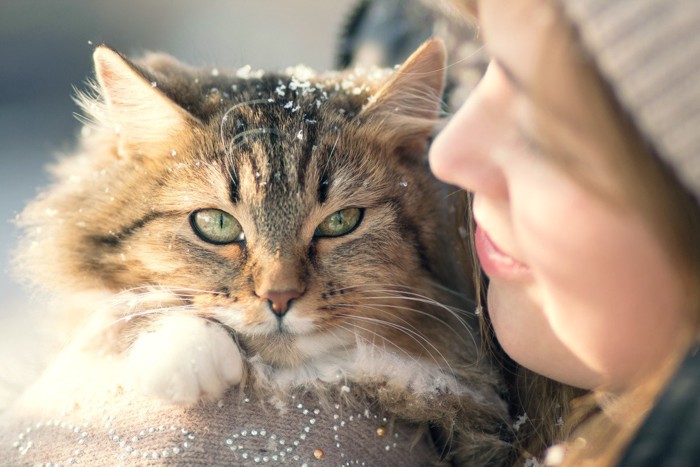 甘える猫