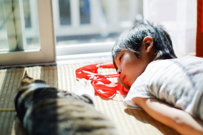 一緒に寝る猫と女の子