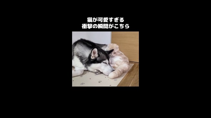 腰を下ろす姿