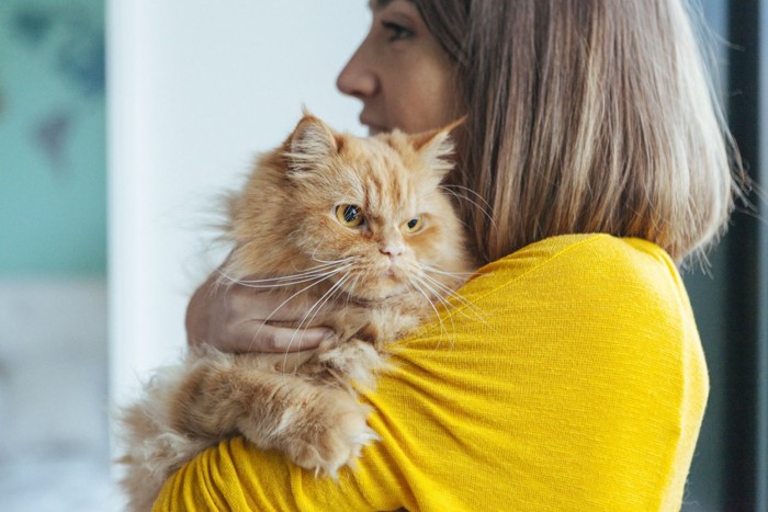 抱っこされる猫