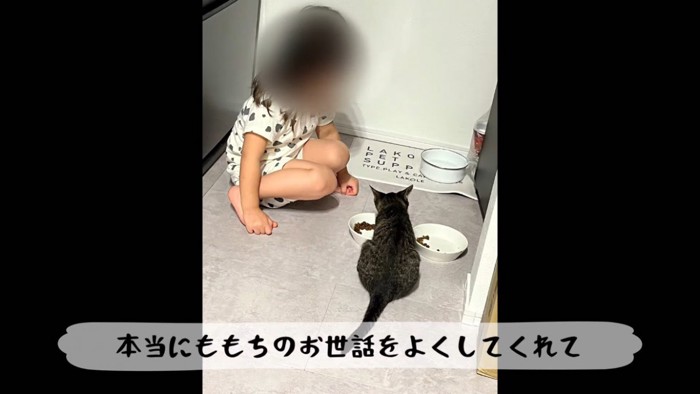 女の子にごはんをもらう子猫