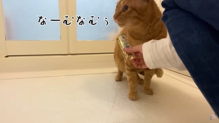 「なーむなむぅ」