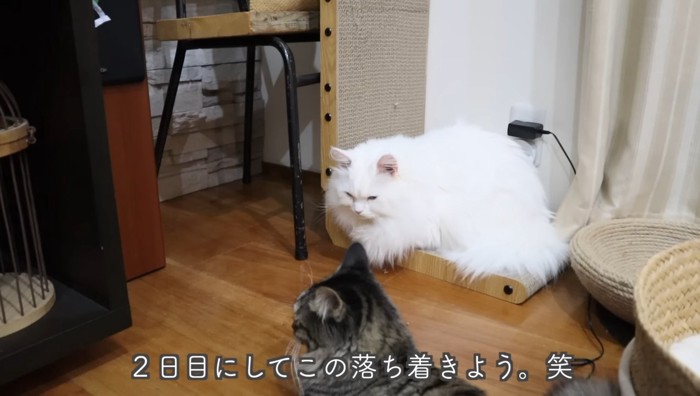 2日目にして