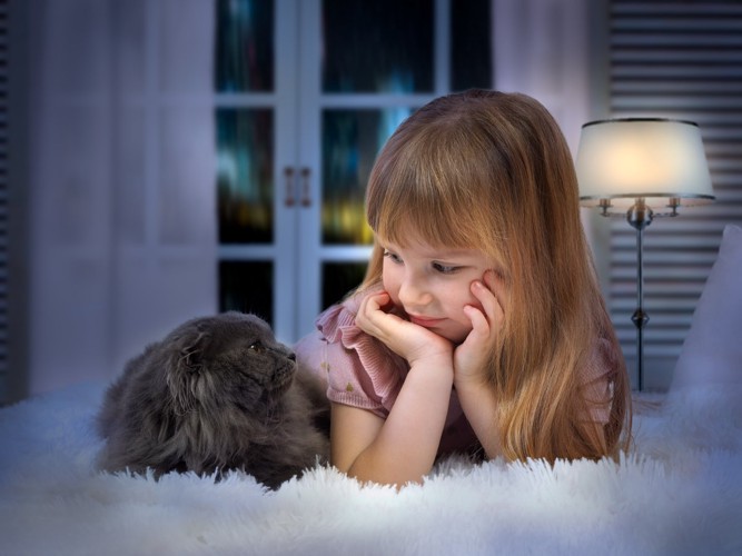 お話する女の子と猫