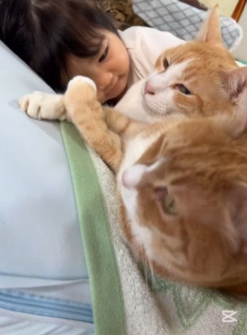 女の子と2匹の猫