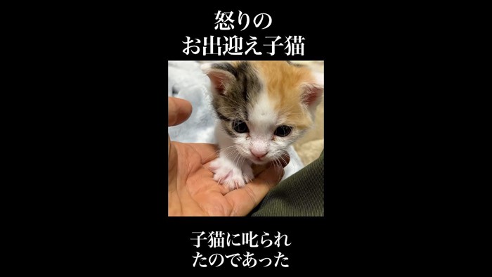 登ってくる姿