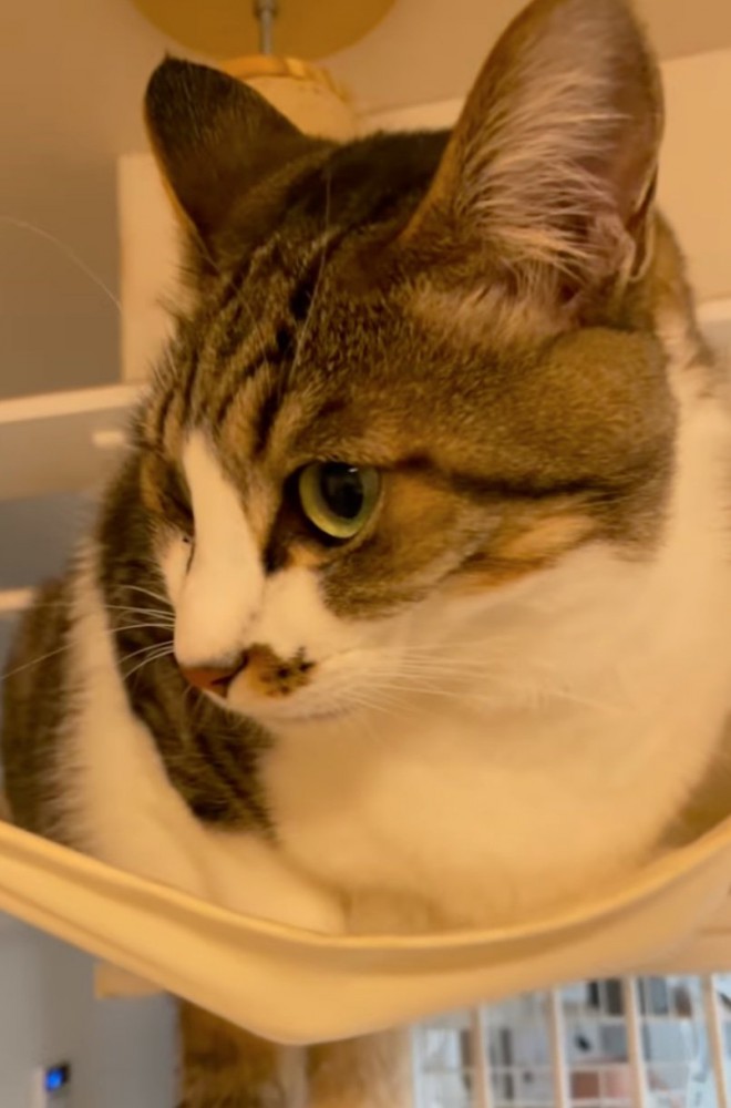 そぼろちゃん