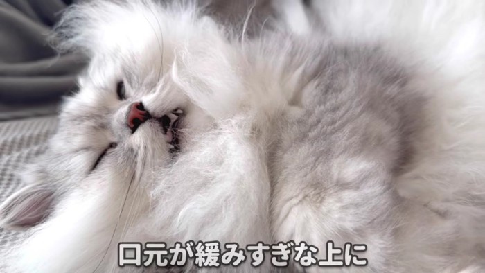 すごいお顔のモルンさん 