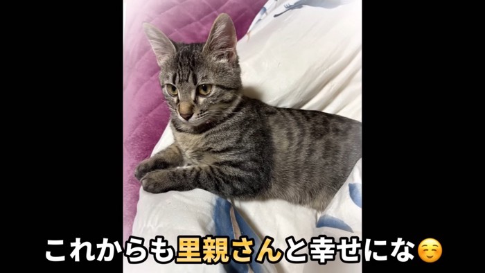 テロップ「これからも里親さんと~」