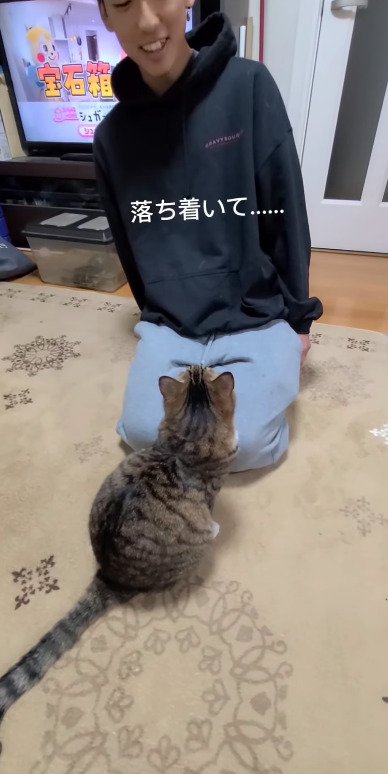 落ち着いてと猫に言い聞かせる次男さん