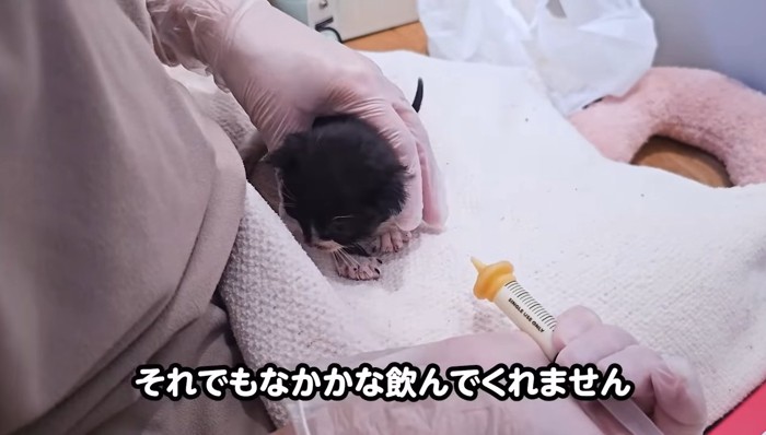 シリンジを使って