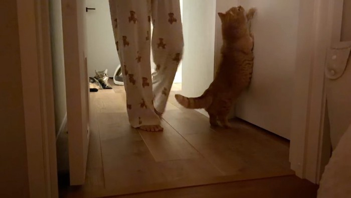 掴まり立ち