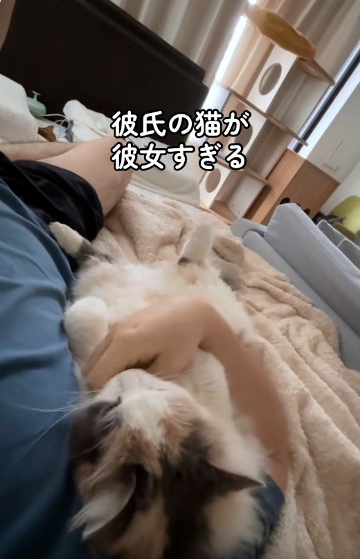 寝転んでいる人と猫