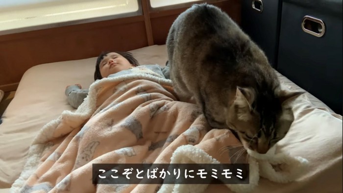 赤ちゃんと少し顔をあげてふみふみする猫(テロップ入り画像)