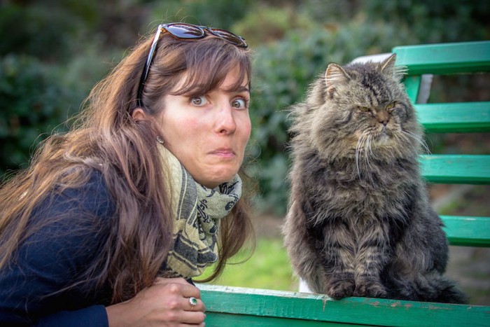 近づく女性から顔をそらす猫