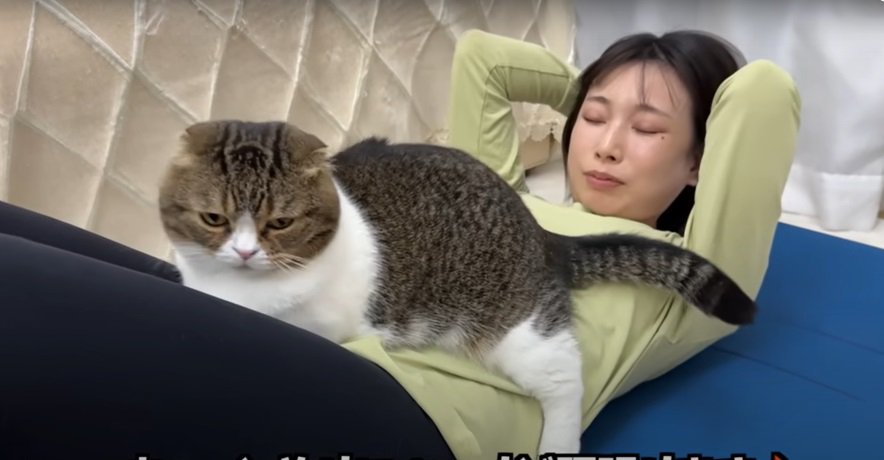 女性の上の猫2