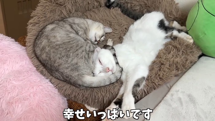 幸せいっぱいです