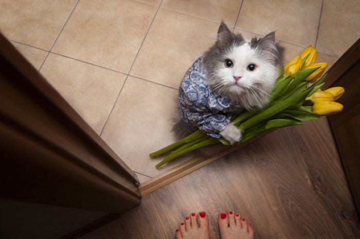 恩返しの花をかかえる猫