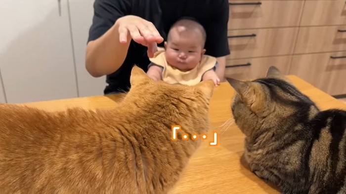 「…」