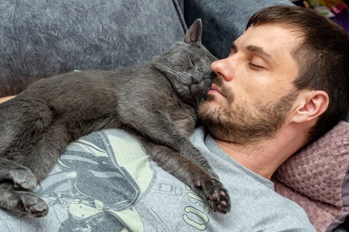 人の顔の近くで寝る猫
