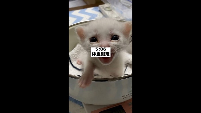 体重測定