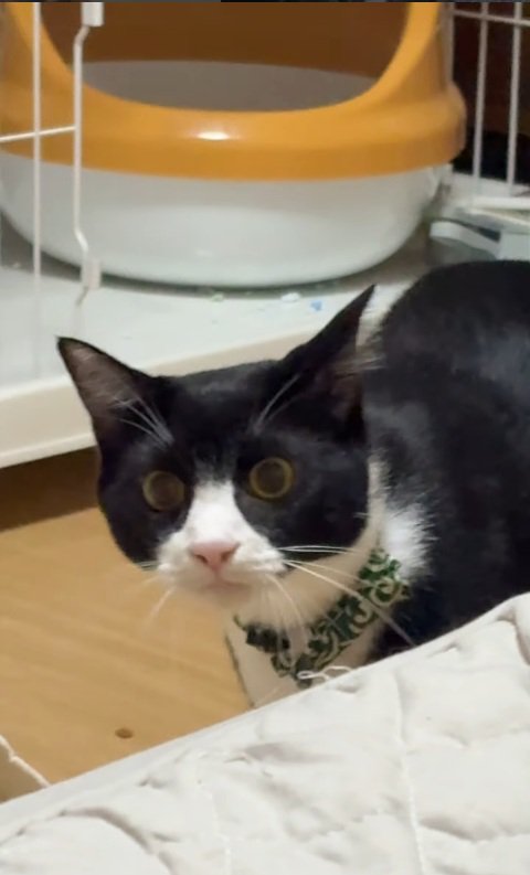 近寄る