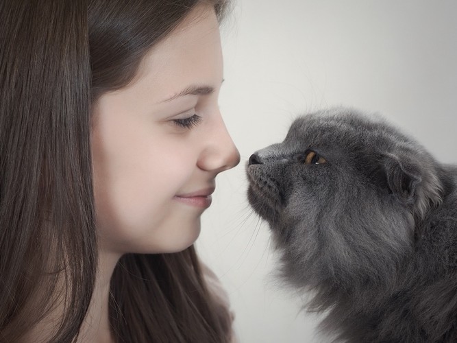 顔を近づける猫と女性