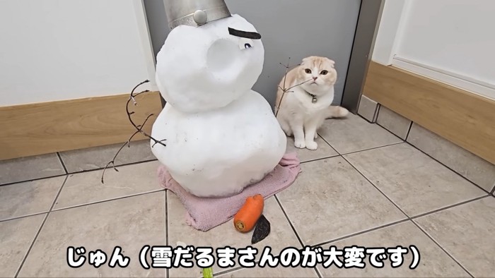 雪だるまの隣に座る猫