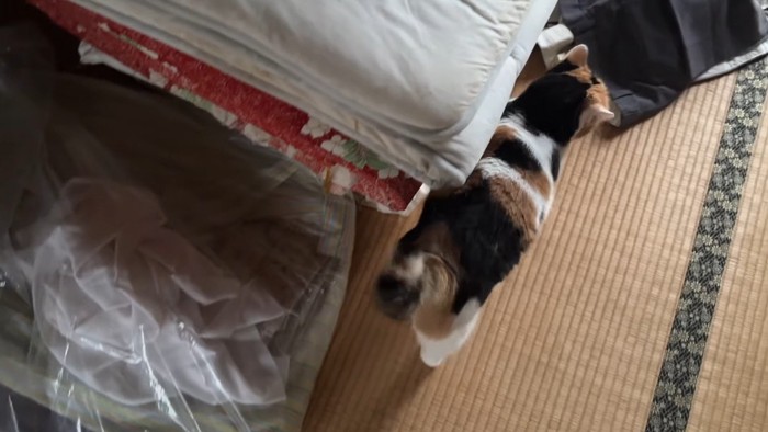 お布団の山