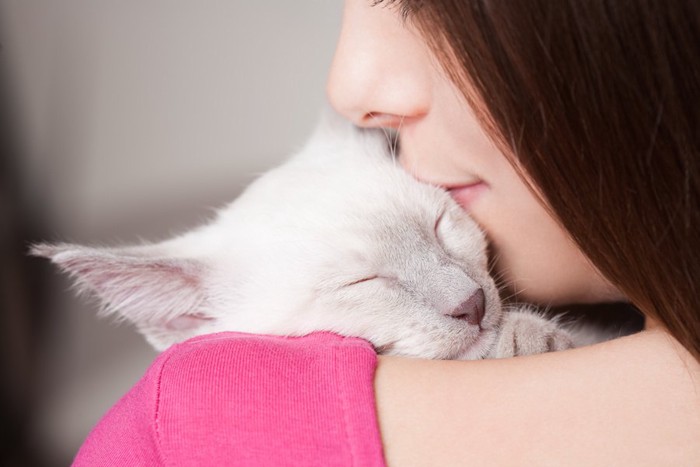 女性に抱かれて目を閉じる猫