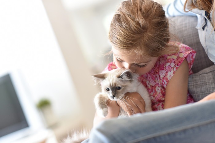 猫と子供の写真