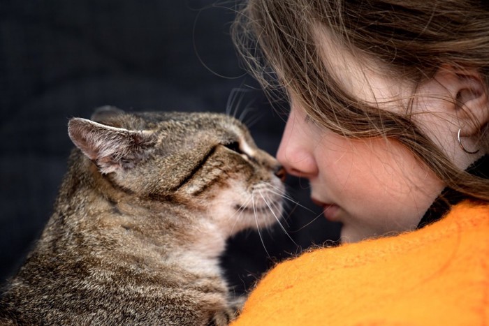 鼻をくっつけ合う猫と女性