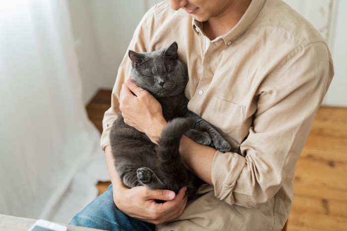 抱っこされる猫