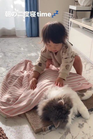 猫を優しく触る子ども